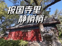 -报国寺