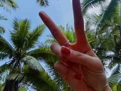 -东郊椰林