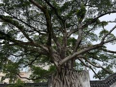 -墨池公园
