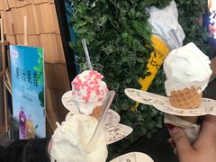 蜂蜜茉莉冰淇淋-野人先生现做冰淇淋(北京顺义祥云小镇店)