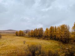 -塞罕坝国家级自然保护区