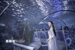 -南京宝娜嫁衣婚纱礼服馆(中央路店)
