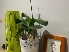 -捌楼咖啡书吧(南开店)