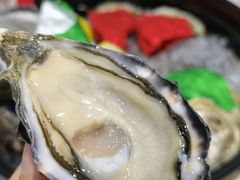 新西兰蓝珍珠生蚝-斯普汇生蚝牛排馆(中骏世界城店)