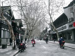 -孙奶奶葱包桧