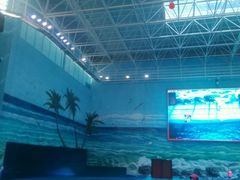 -多彩贵州城极地海洋世界