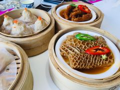 马来沙爹金钱肚-有心德(麦地店)