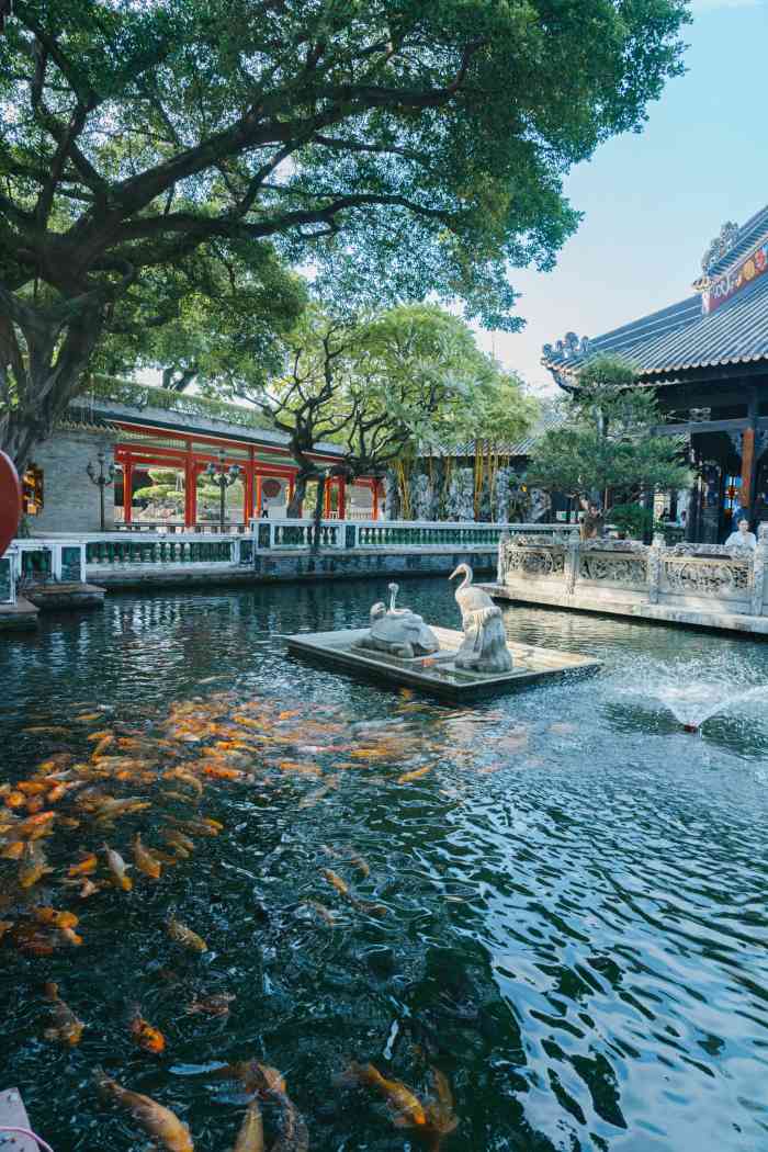 宝墨园景区-"今天叔叔过来玩,带他过宝墨圆逛一逛,圆区.