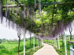 -下渚湖国家湿地公园科普馆