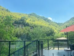-宁海安岚·南溪阁全日餐厅