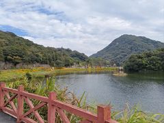 -广州市石门国家森林公园