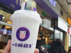 -一只酸奶牛(八一路店)