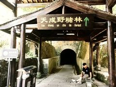 -富春桃源风景区