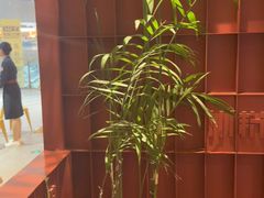 -巴奴毛肚火锅(龙湖锦艺城店)