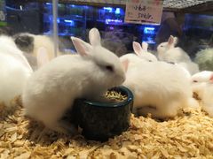 -鸿通城购物中心