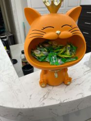 -小齐发型Star·Salon