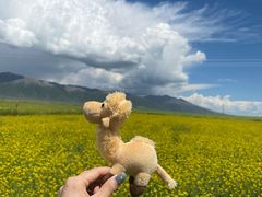 -扁都口生态休闲旅游区