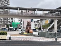 -国际通