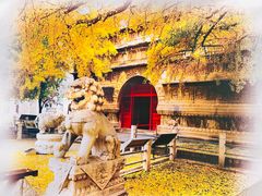 -北京石刻艺术博物馆(五塔寺)