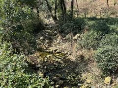 -北仑森林植物园