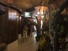 -绿光森林餐厅
