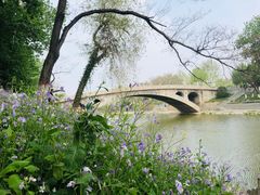 -赵州桥景区