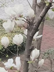 -莲生母婴月子中心(清水河公园店)