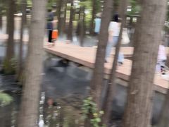 -东湖落雁景区