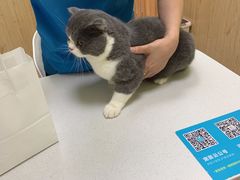 -瑞鹏宠物医院·骨科·猫科·内科(第一中心)