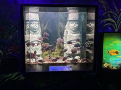 -南昌融创海世界