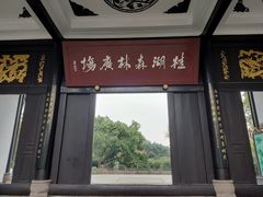 -桂湖森林公园
