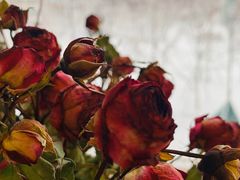 -中国移动(望京营业厅)