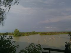 -大湾区中央湿地公园