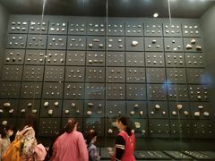 -北京周口店北京人遗址博物馆