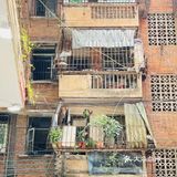 佛山老字号糖水店