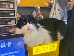 -平行世界·猫咖(首经贸店)