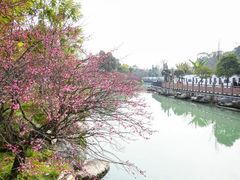-成都杜甫草堂博物馆