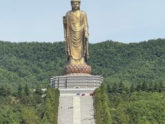 -中原大佛景区