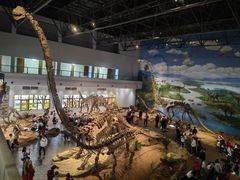 -自贡恐龙博物馆