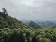 -莫干山风景区