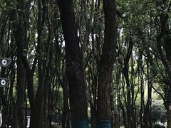 -东湖落雁景区