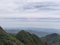 -栾川竹海野生动物园