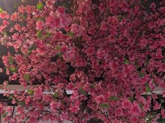 -野渡坡·极致湘菜·庭院餐厅(汉阳店)