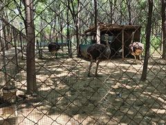 -草根堂农场