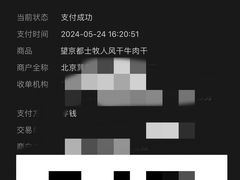 -都士牧人现烤牛肉干
