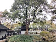 -惠山古镇·寄畅园