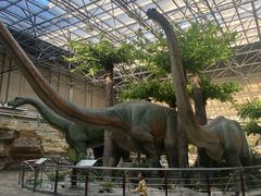 -国家自然博物馆