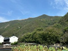 -荷塘味道(水长城店)