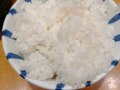 米饭-胜博殿日式炸猪排(西红门店)