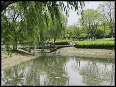 -西山漾湿地公园